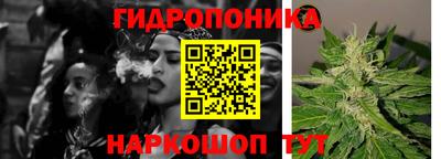 Альфа ПВП Гатчина