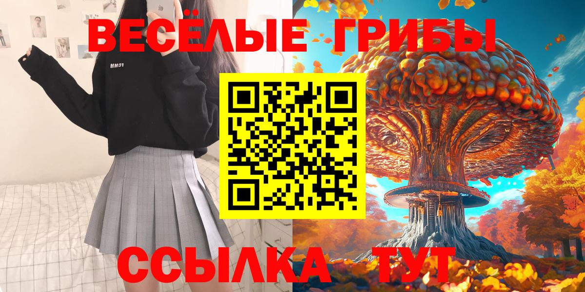 Галлюциногенные грибы Psilocybe Мурманск