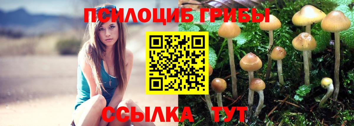 Мурманск  Галлюциногенные грибы ЛСД  Вход с VPN  Галлюциногенные грибы Psilocybe 